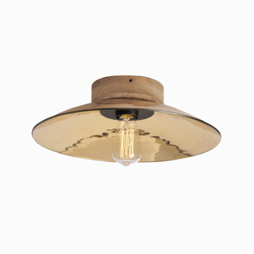 ZENITH Small Gold Wall and Ceiling Light